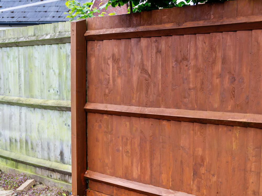 A freshly stained backyard privacy fence.